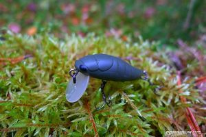 Изображение 1 : Tackle House Elfin Cicada - голавлевое лакомство